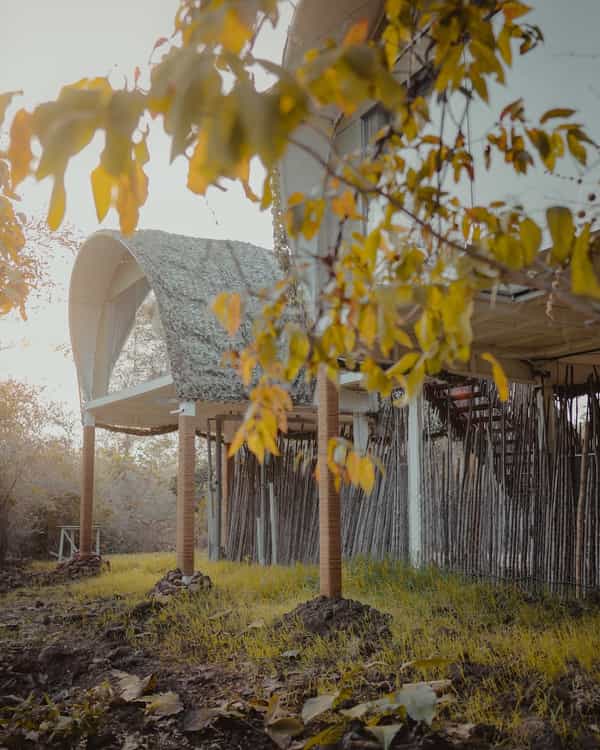 The Pod - luxury accommodation at Limban Resort Tadoba