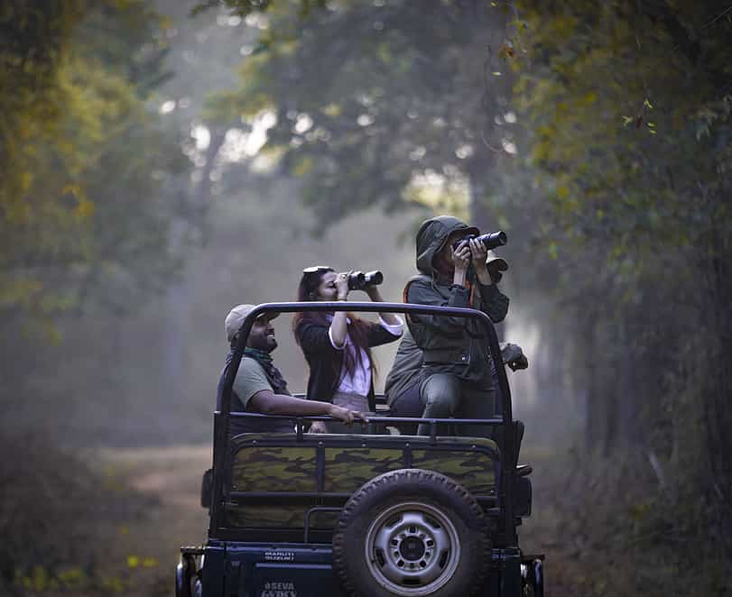 Tiger & Wilderness Safaris